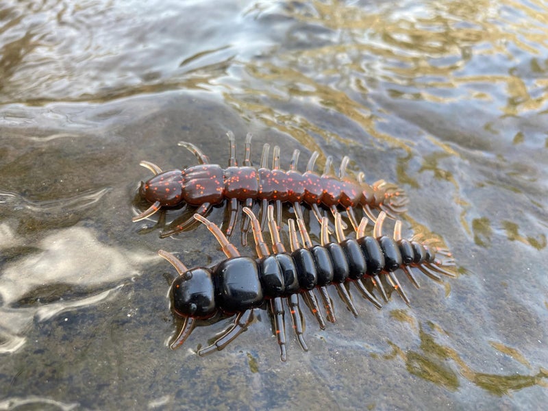 Yum Lures Hellgrammite - 3 بوصات كوبر كريك - 8 عبوات - طُعم بلاستيكي على طراز Ned - باس، سمولماوث باس، سمك السلمون المرقط، بانفيش - Image 5